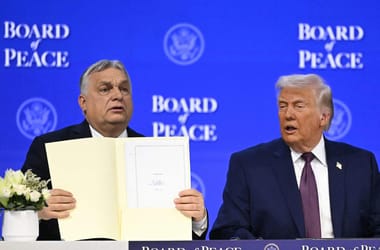 Thumbnail for 6954147