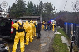 Thumbnail for 6954151