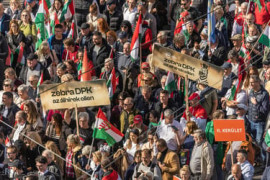 Thumbnail for 6954455