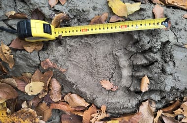 Thumbnail for 6954685