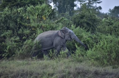 Thumbnail for 6954797