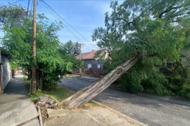 Thumbnail for 6954799