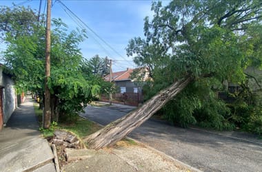 Thumbnail for 6954799