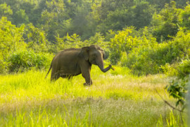 Thumbnail for 6954984