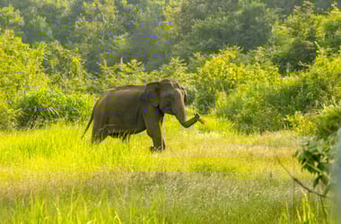 Thumbnail for 6954984