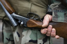 Thumbnail for 6955046