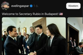 Thumbnail for 6955061