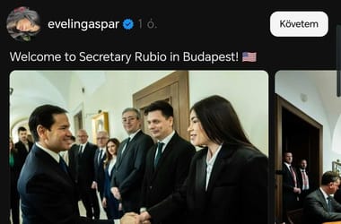 Thumbnail for 6955061