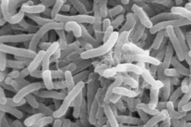 Thumbnail for 6955184