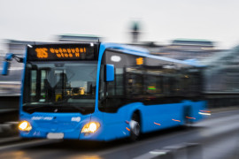 Thumbnail for 6955732