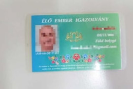 Thumbnail for 6955747