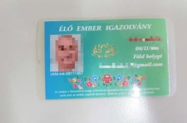 Thumbnail for 6955747