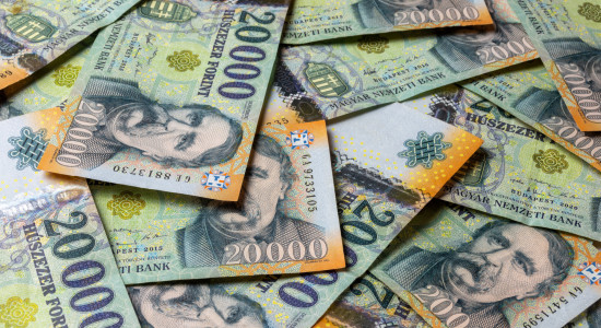 Thumbnail for 6955751