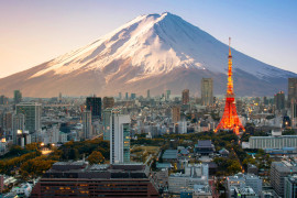 Thumbnail for 6955987