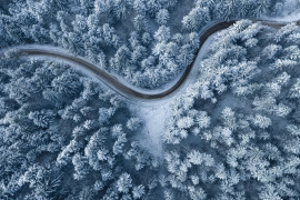 Thumbnail for 6955997