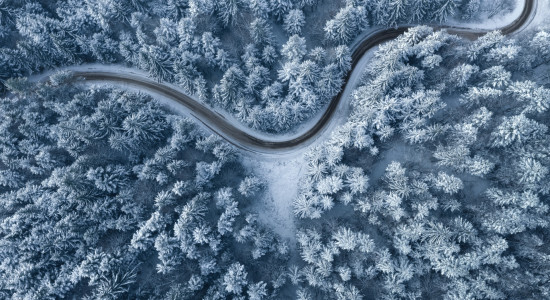 Thumbnail for 6955997