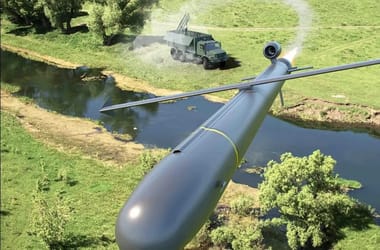 Thumbnail for 6956143