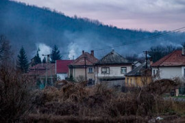 Thumbnail for 6956230