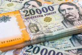 Thumbnail for 6956375