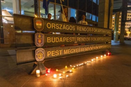 Thumbnail for 6956387