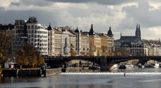 Thumbnail for 6956541