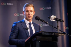 Thumbnail for 6956593