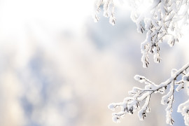 Thumbnail for 6956762