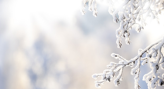 Thumbnail for 6956762