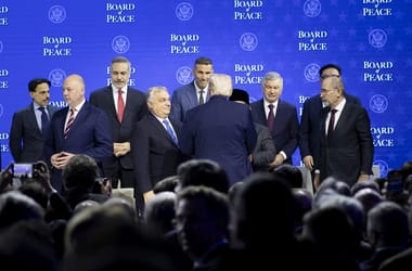 Thumbnail for 6956845