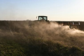 Thumbnail for 6956856