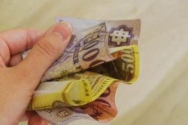 Thumbnail for 6957021