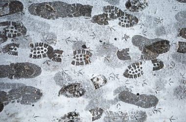 Thumbnail for 6957289