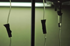 Thumbnail for 6957613