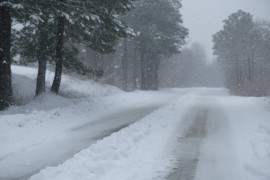 Thumbnail for 6957626