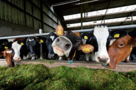 Thumbnail for 6957754