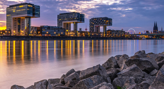 Thumbnail for 6957851