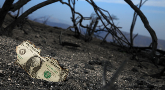 Thumbnail for 6957999