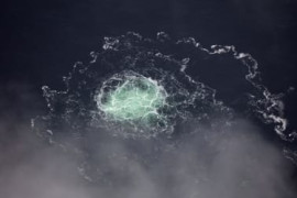 Thumbnail for 6958112