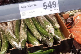 Thumbnail for 6958228