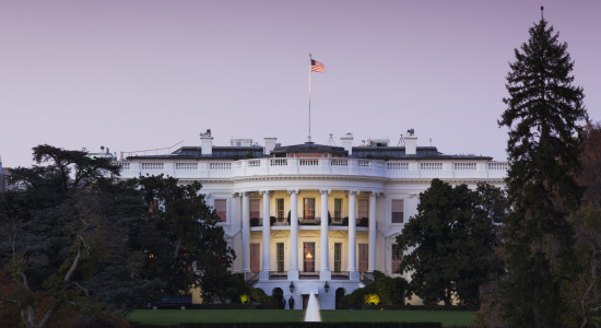 Thumbnail for 6958258