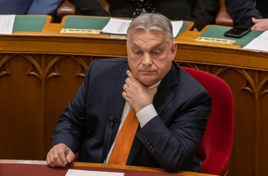 Thumbnail for 6958260