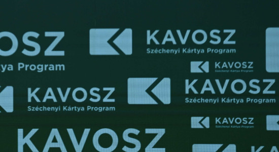 Thumbnail for 6958520