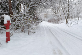 Thumbnail for 6958631