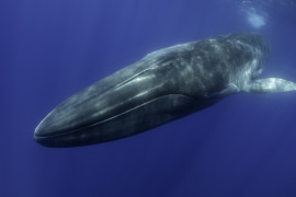 Thumbnail for 6958822