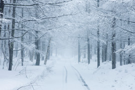 Thumbnail for 6958953