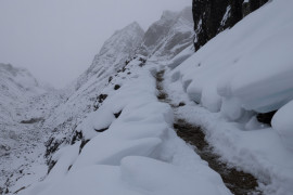 Thumbnail for 6959494