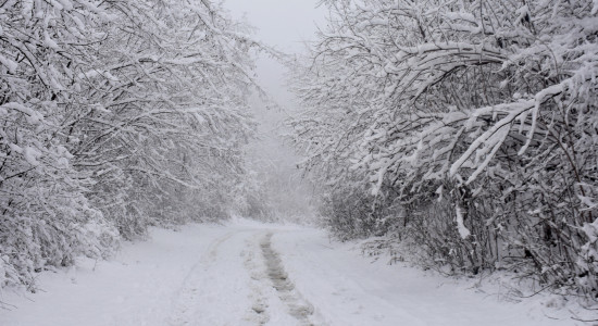 Thumbnail for 6959583