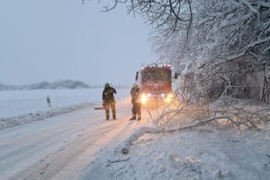 Thumbnail for 6959710