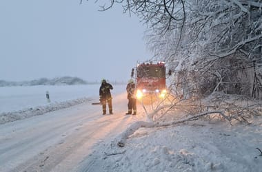 Thumbnail for 6959710