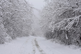 Thumbnail for 6959855